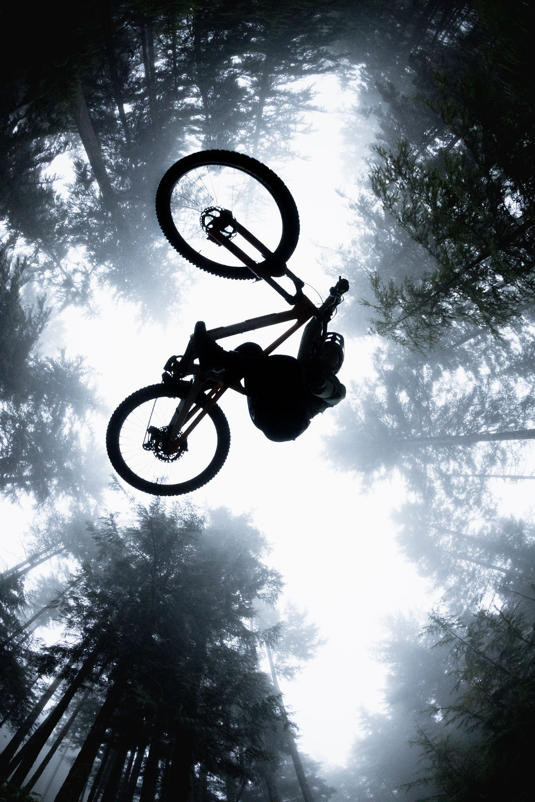 Norco Bikes Have Landed!